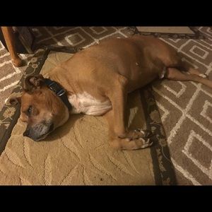 Meet your Posher, Judy